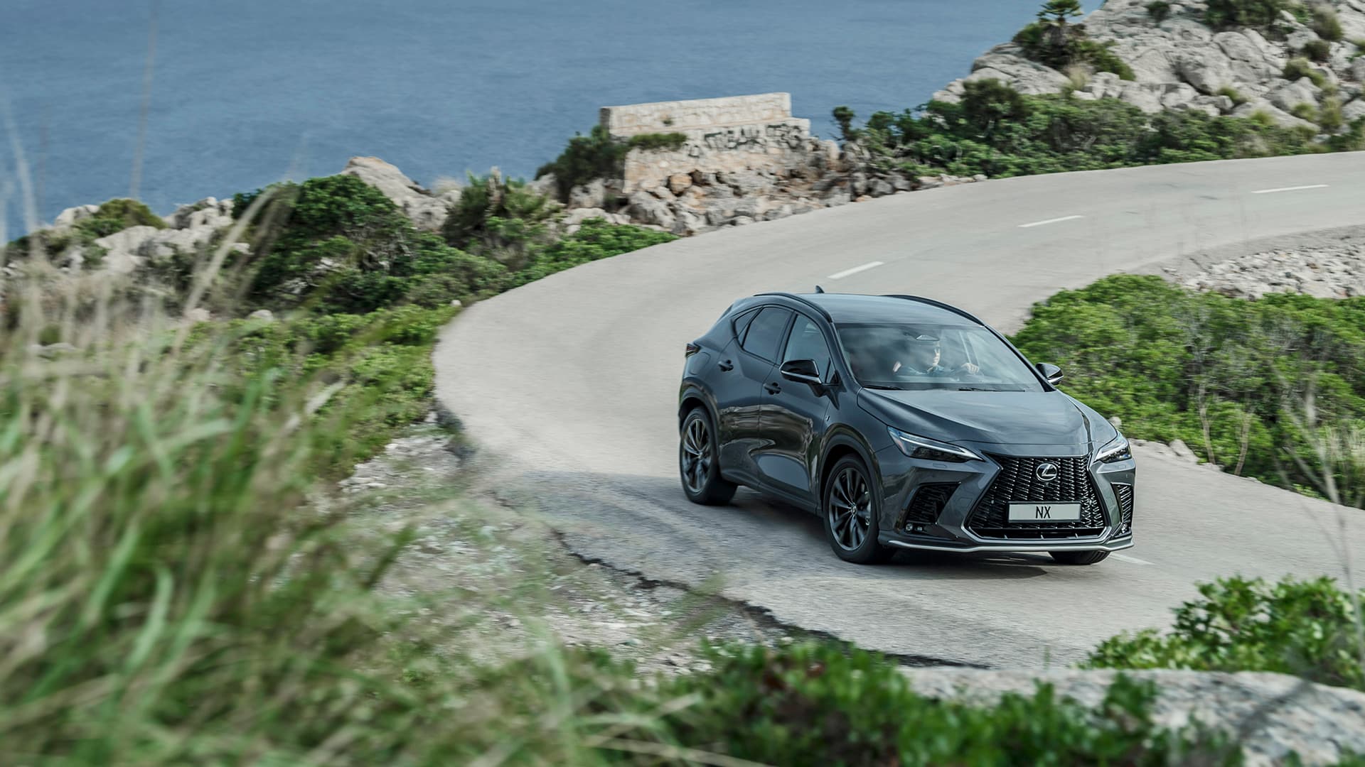 A grey Lexus NX on a winding coastal road